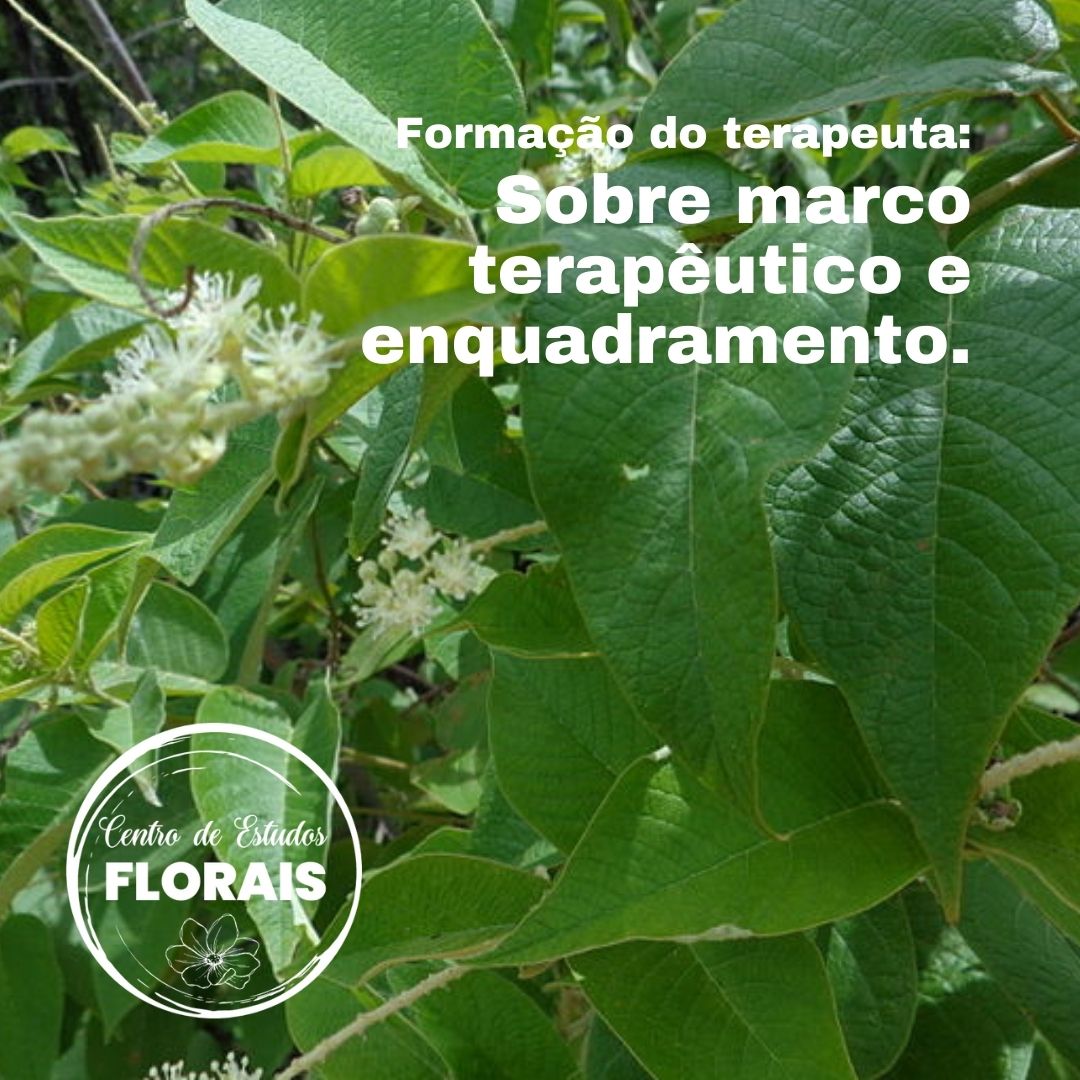 Construção de um marco terapêutico adequado e de um bom enquadramento