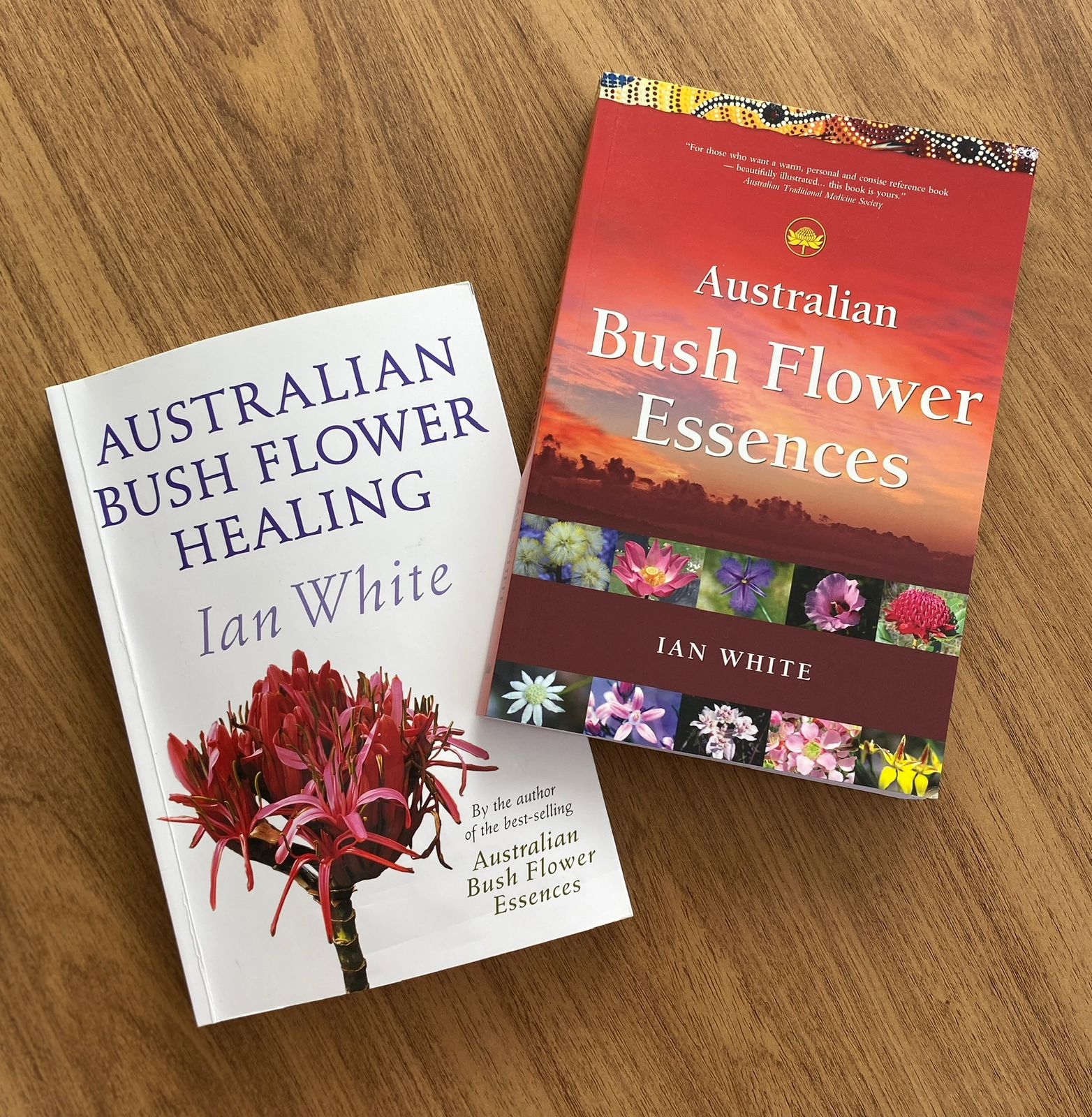 Bush Australiano – Mood Essence